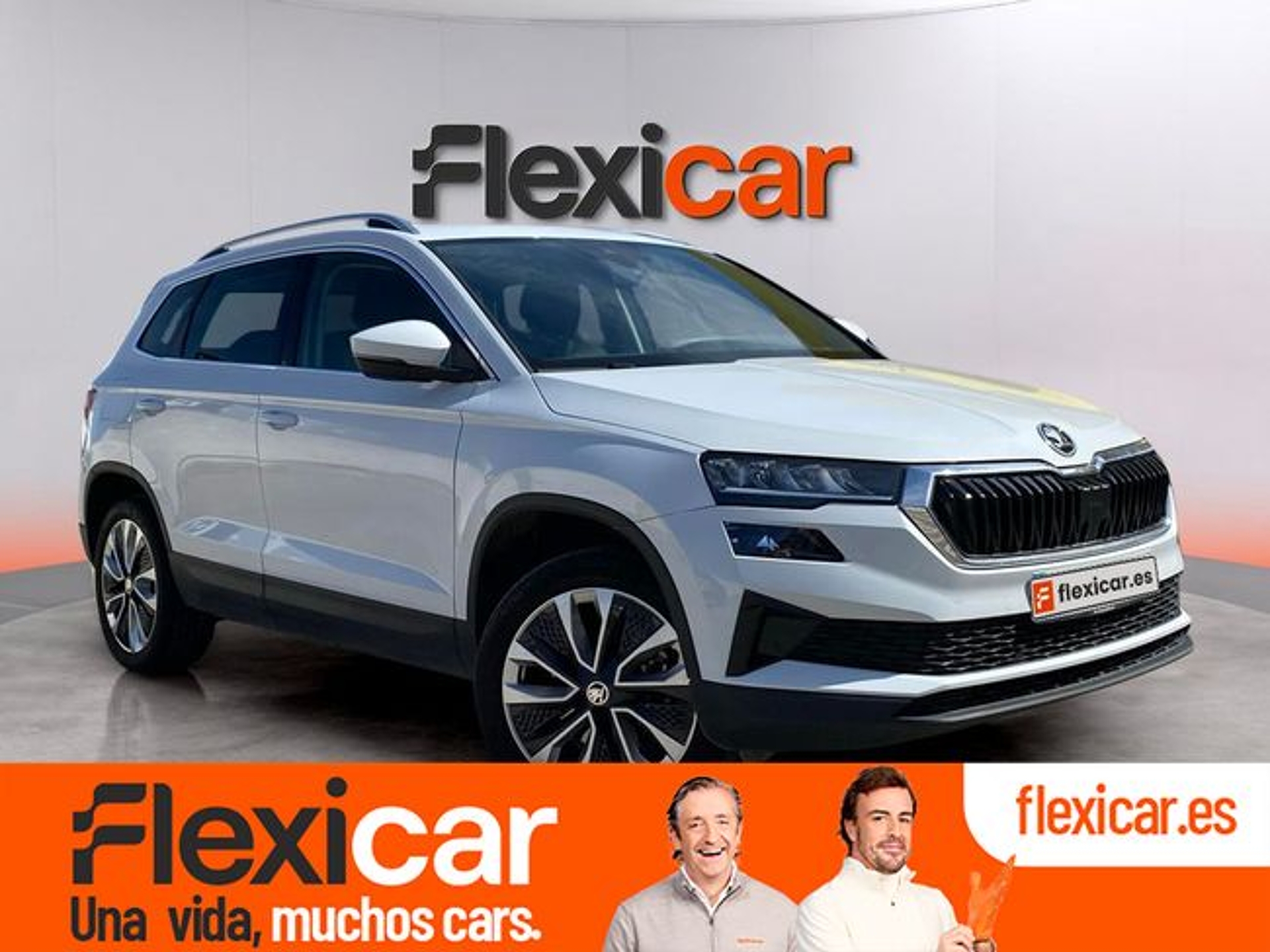Imagen de SKODA Karoq