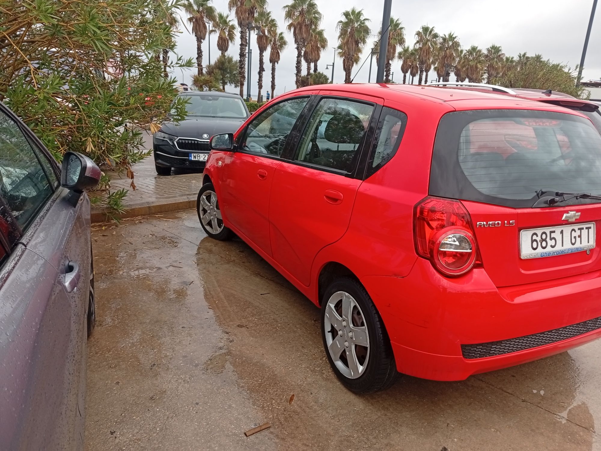 Imagen de CHEVROLET Aveo