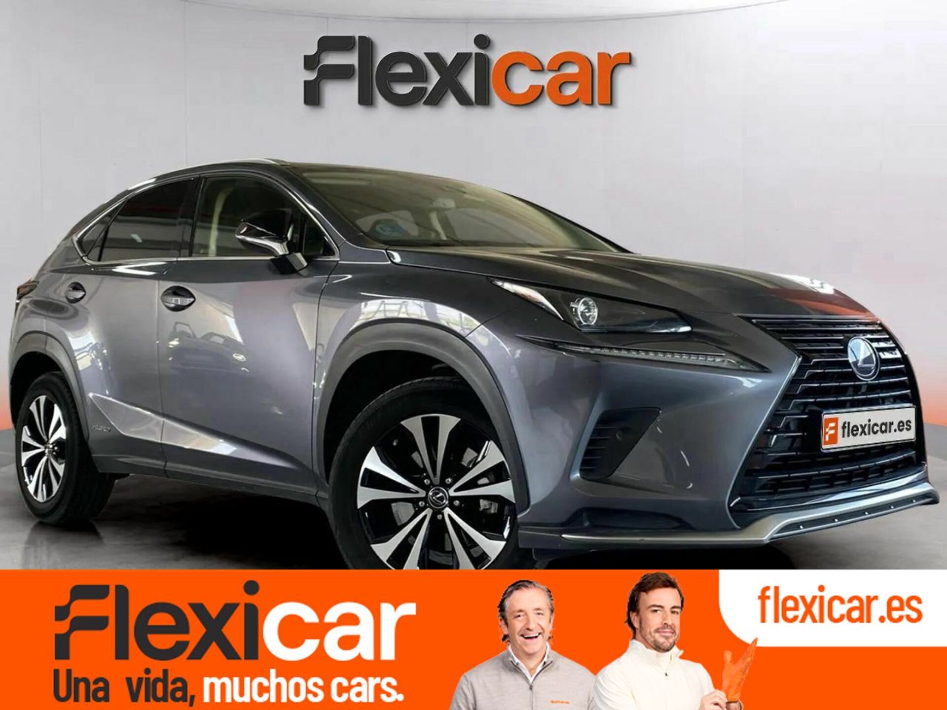 Imagen de LEXUS NX
