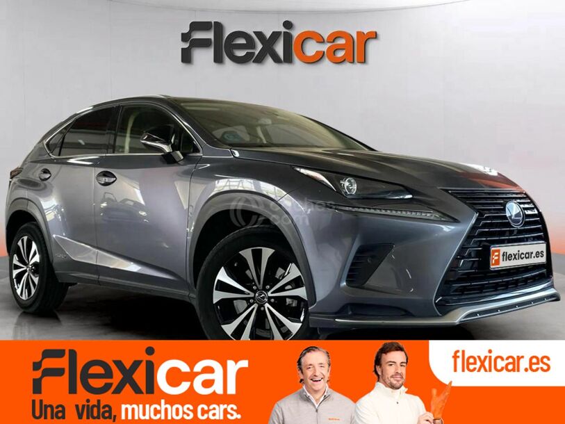 Foto del LEXUS NX 300h Executive 4WD