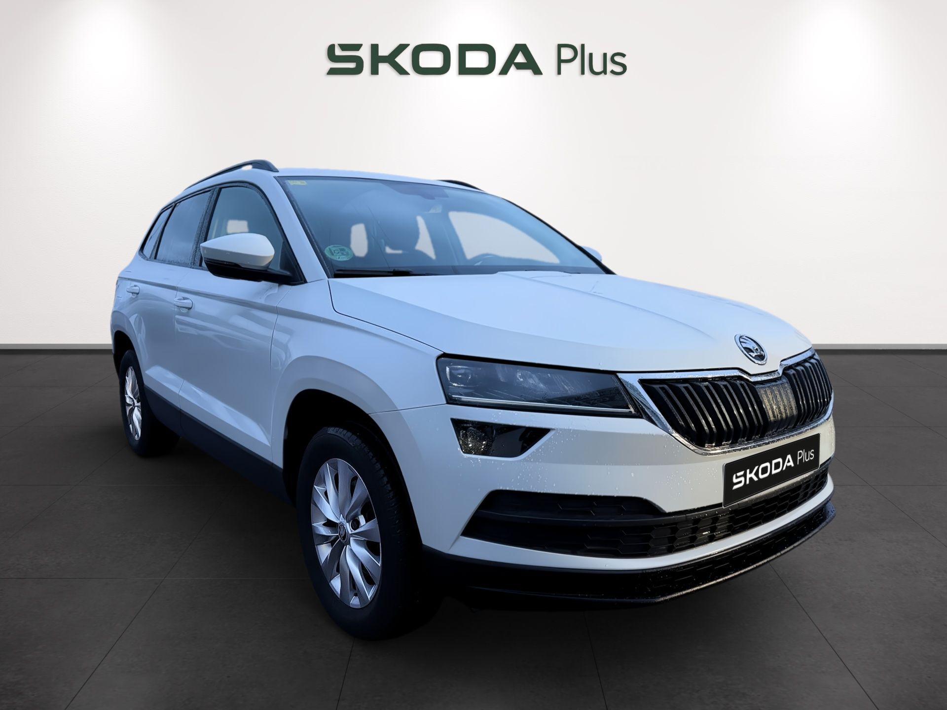 Imagen 1 de SKODA Karoq