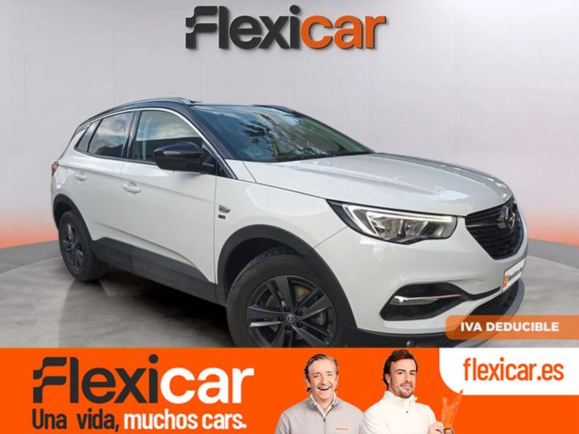 Imagen 1 de OPEL Grandland X