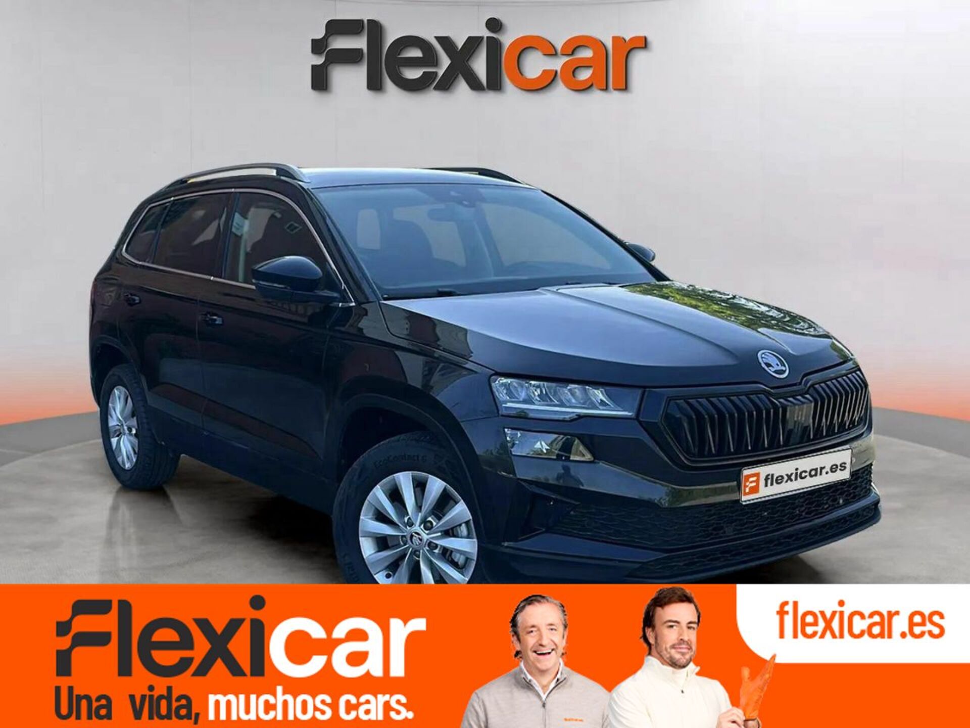 Imagen de SKODA Karoq