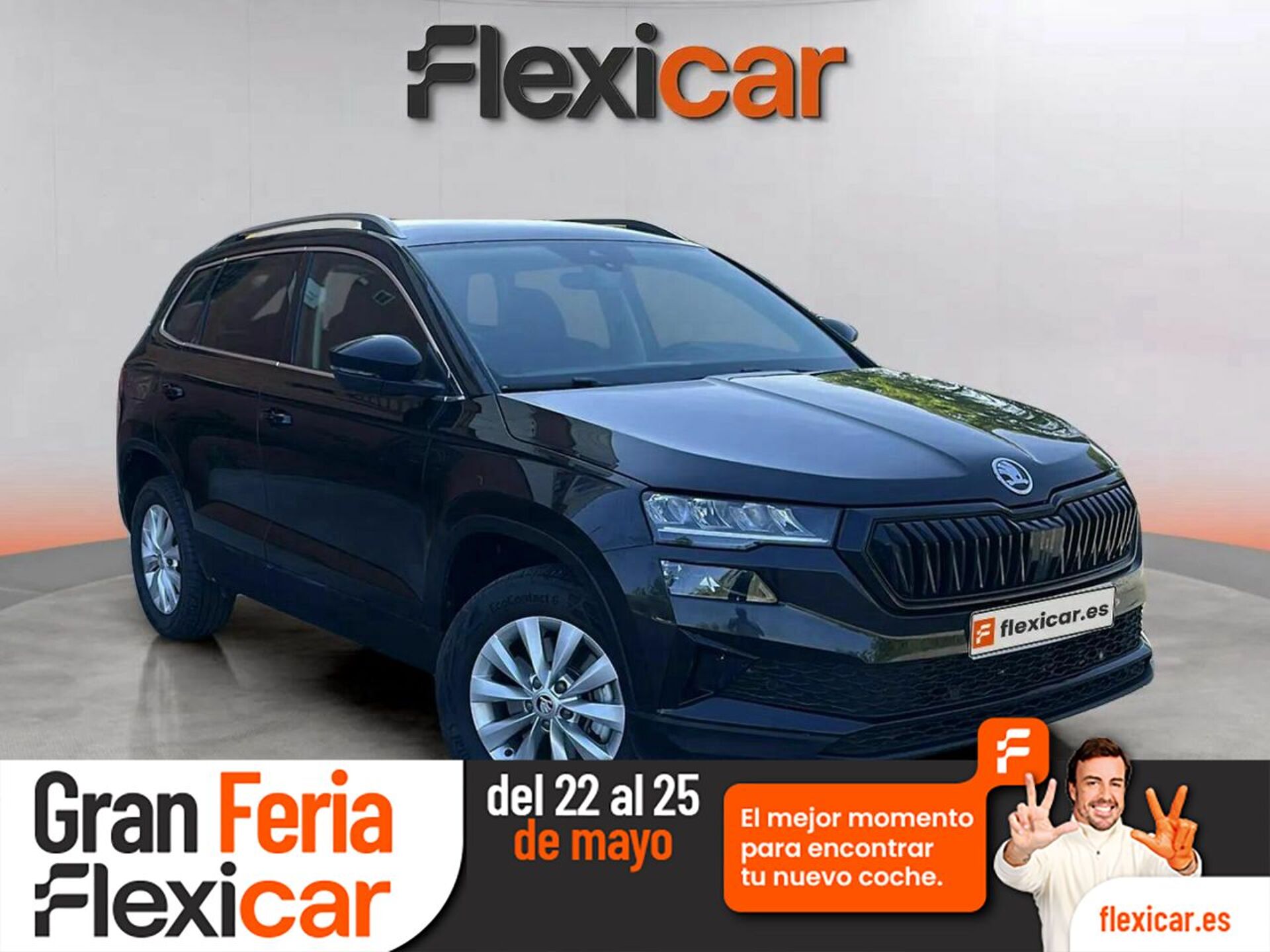 Imagen de SKODA Karoq