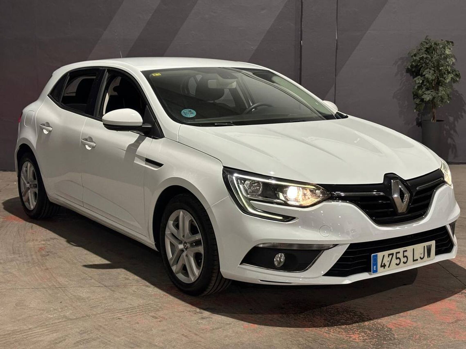 Imagen 3 de RENAULT Mégane