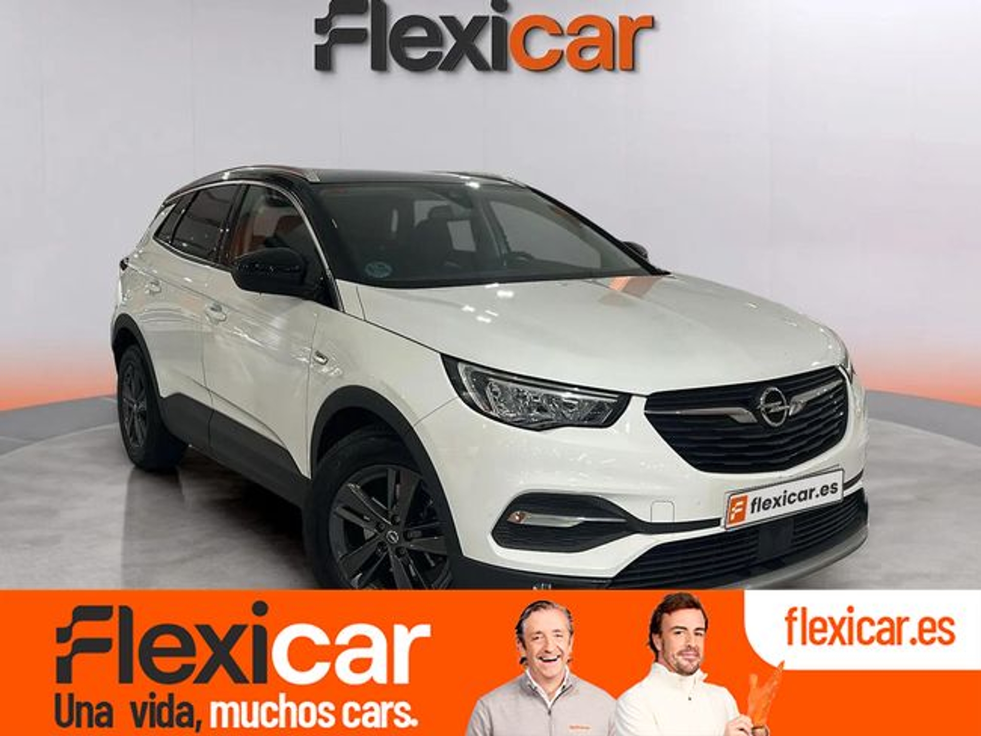 Imagen de OPEL Grandland X
