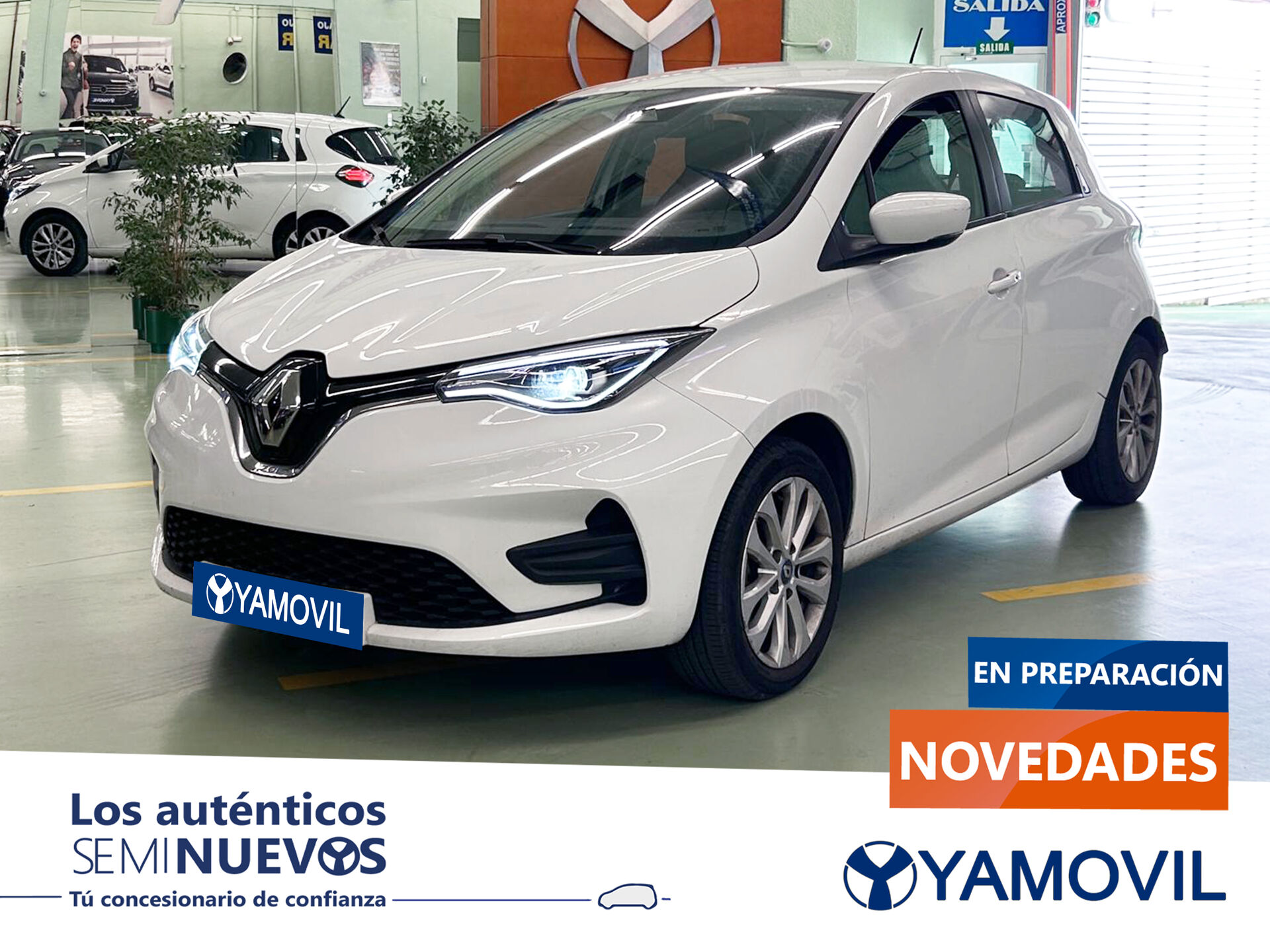 Imagen de RENAULT Zoe