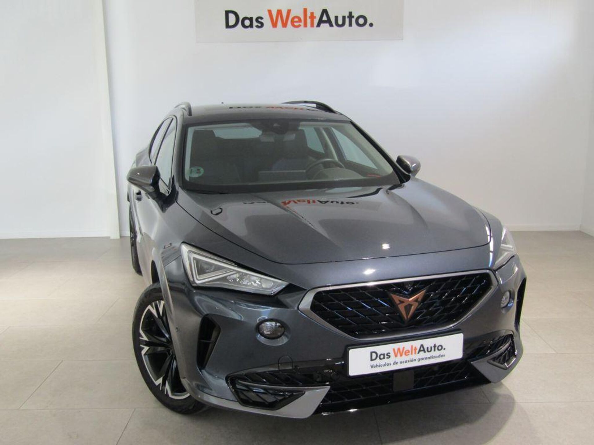 Imagen de CUPRA Formentor