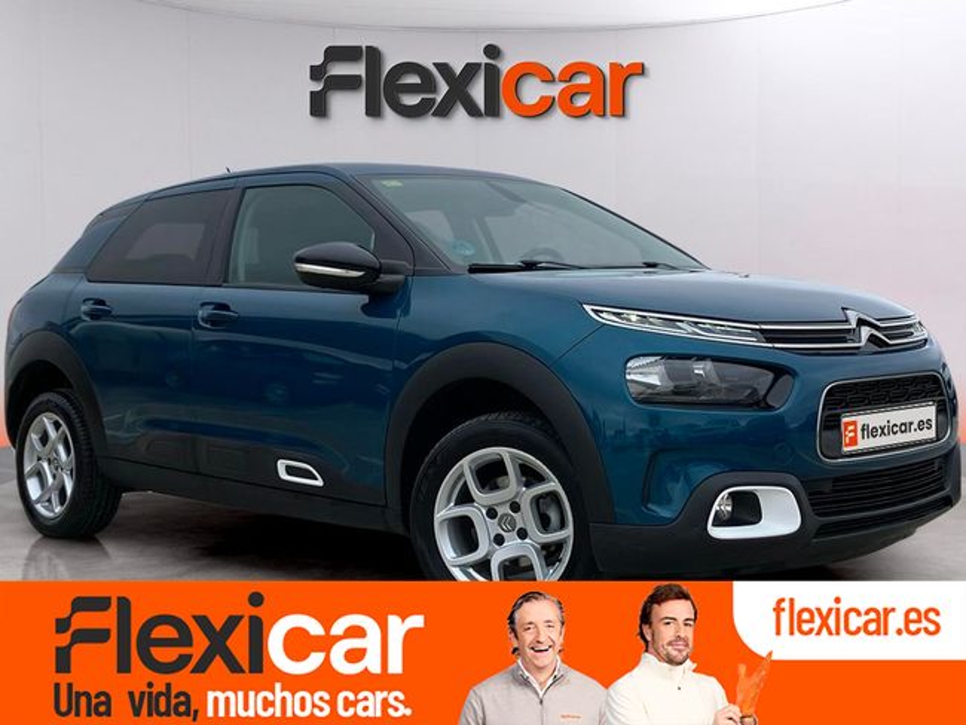 Imagen de CITROEN C4 Cactus