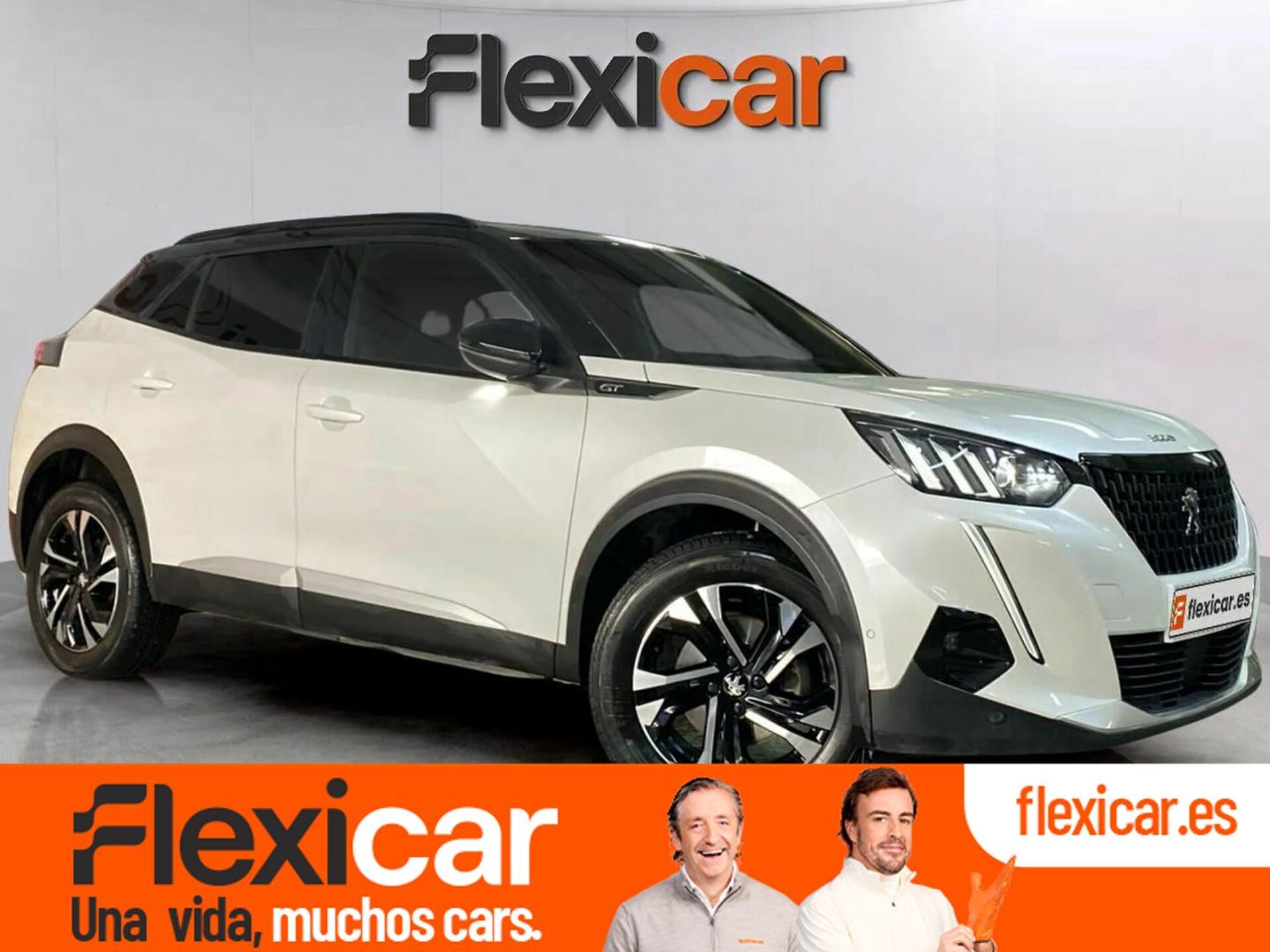 Imagen de PEUGEOT 2008