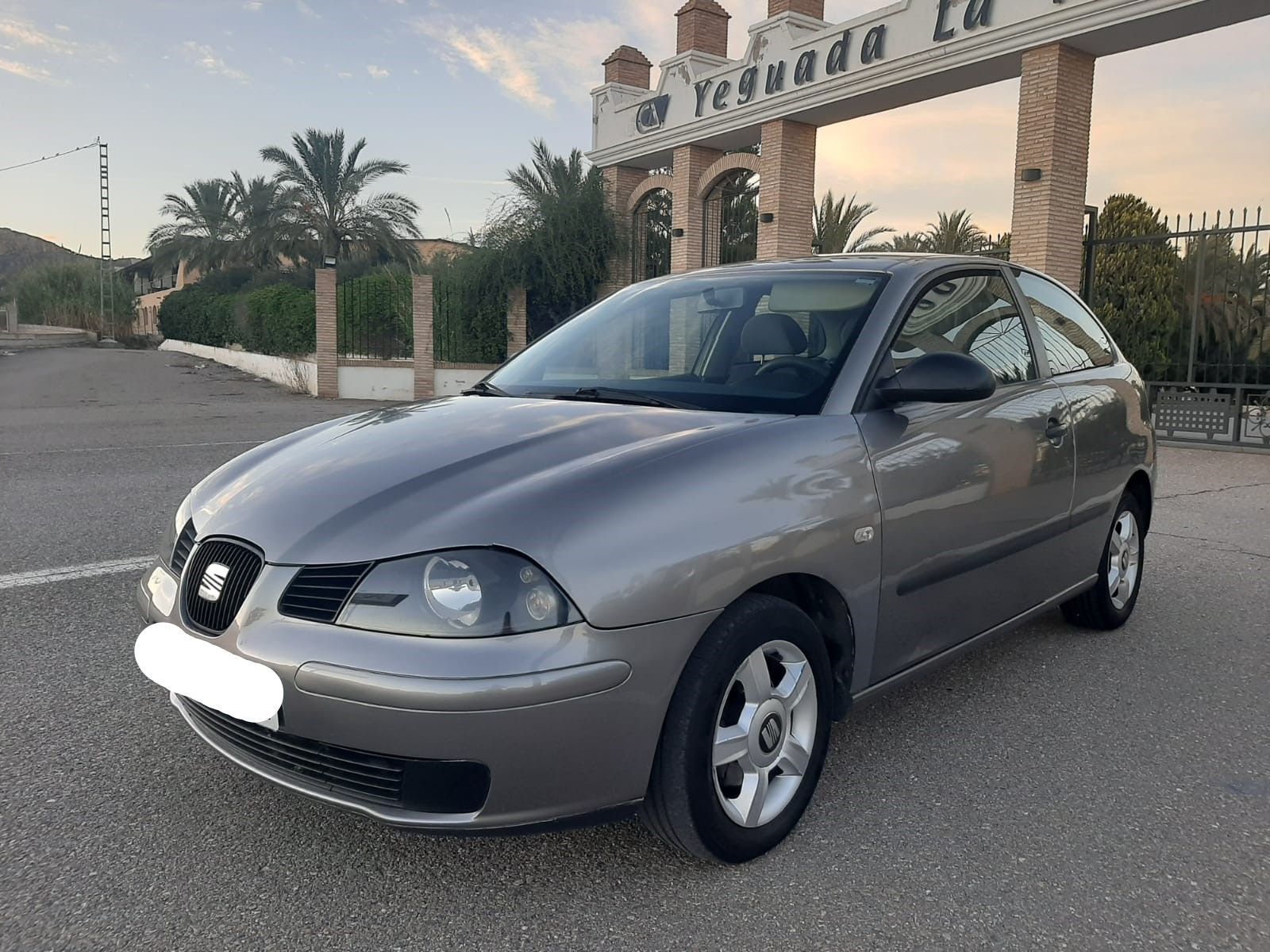 SEAT Ibiza (1.9 SDi Stella) en Murcia