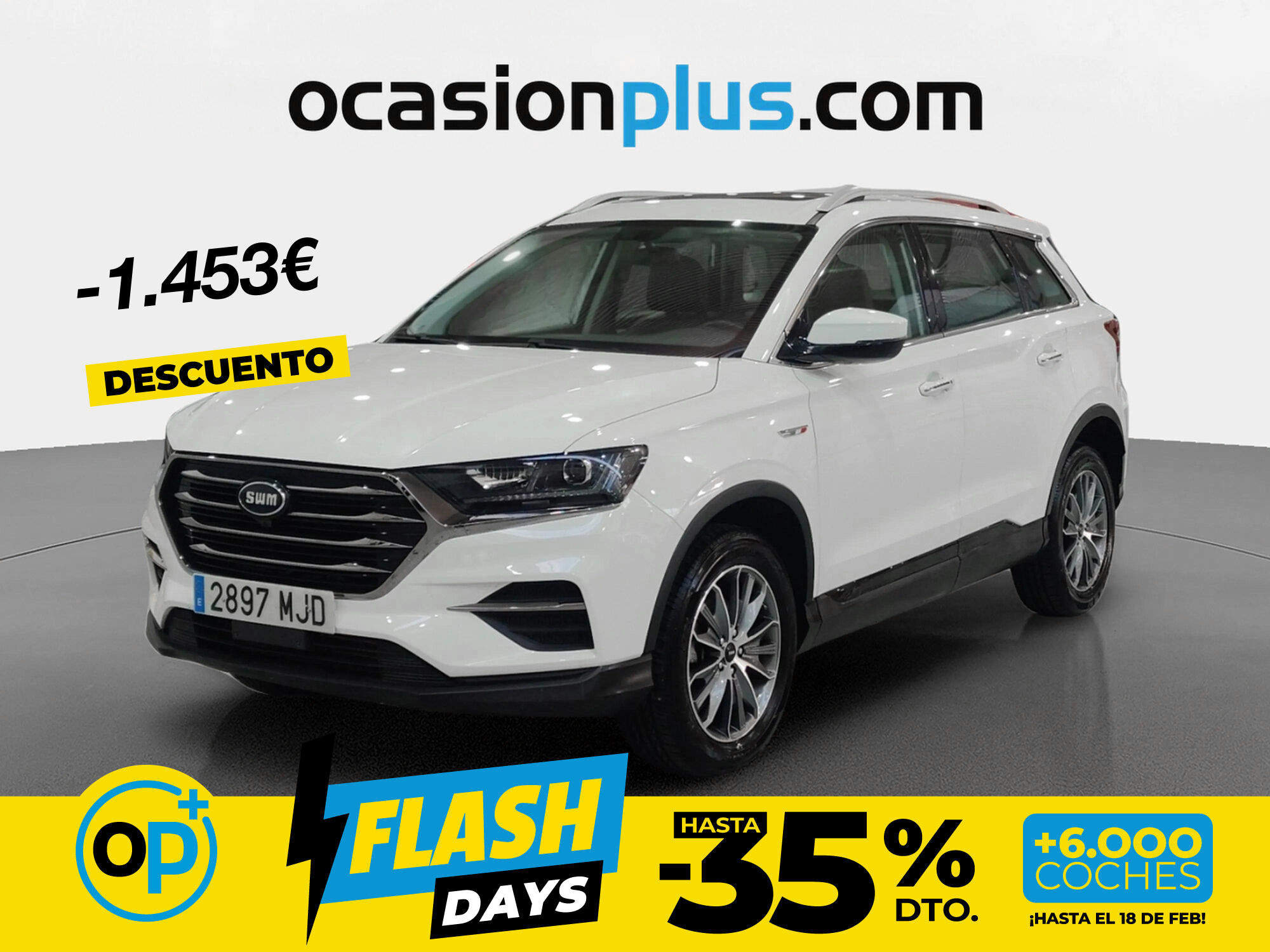 Foto del SWM G01 1.5T Luxury