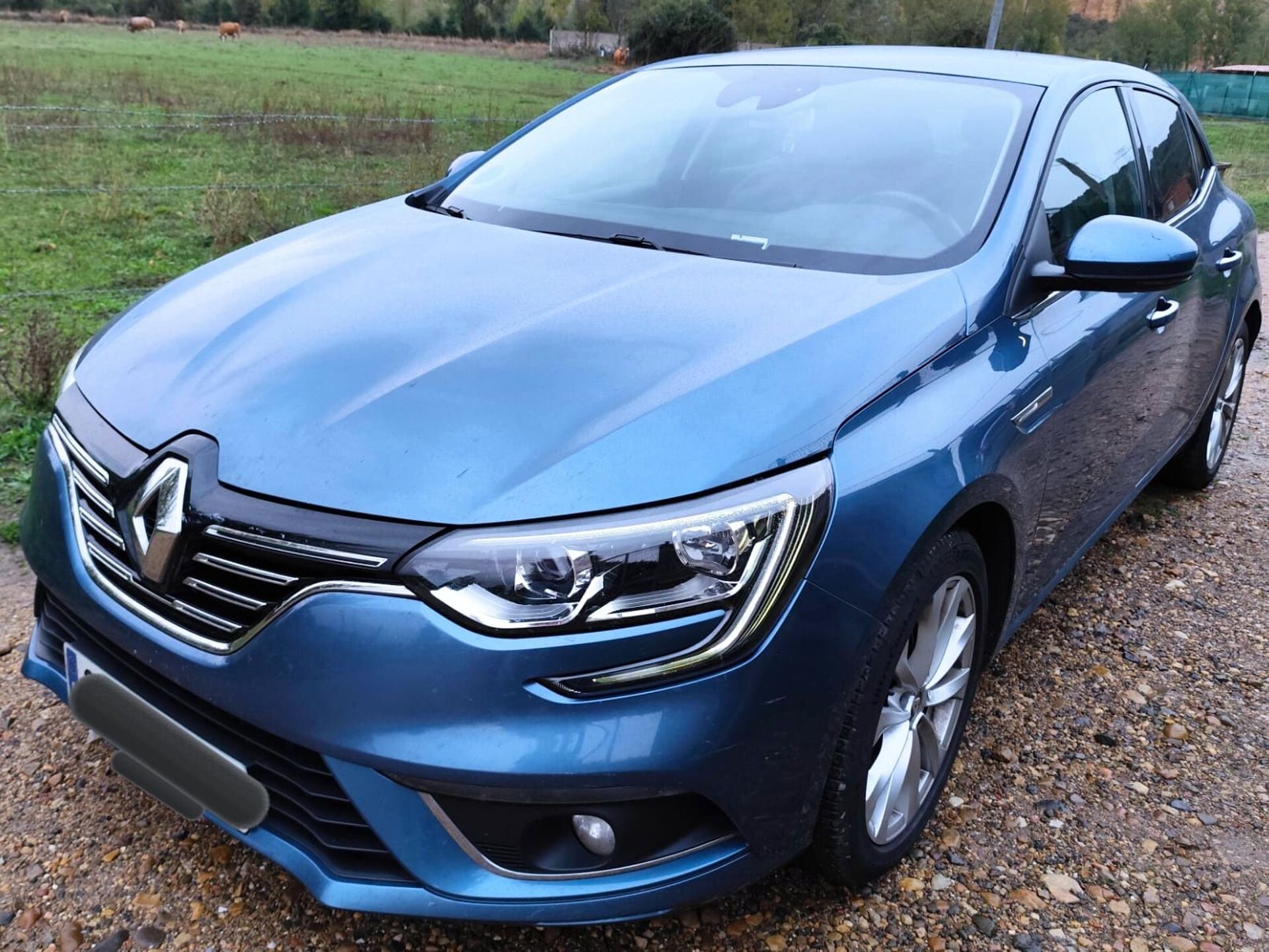 Imagen de RENAULT Mégane