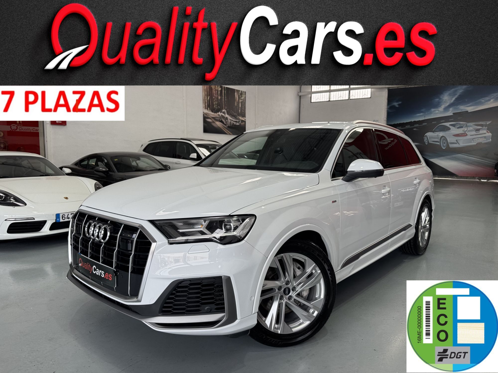 AUDI Q7 (50 TDI S line quattro) en Valencia