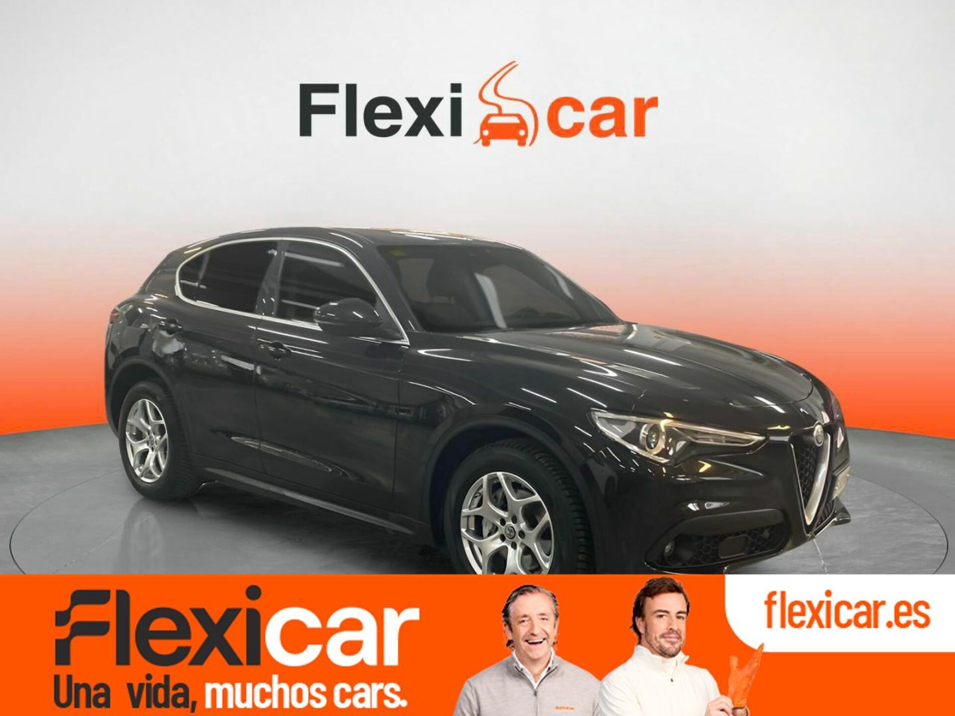 Imagen de ALFA ROMEO Stelvio