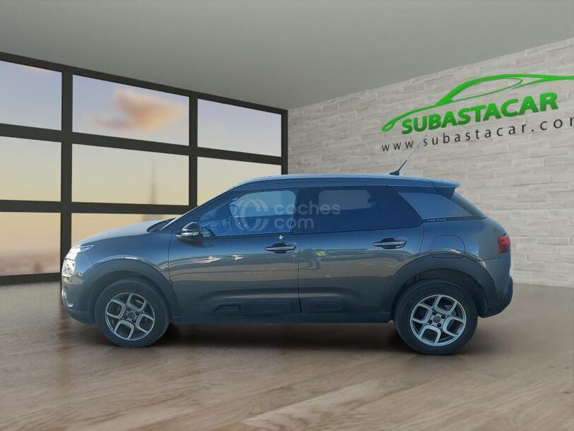 Foto del CITROEN C4 Cactus 1.6 BlueHDi Shine 100