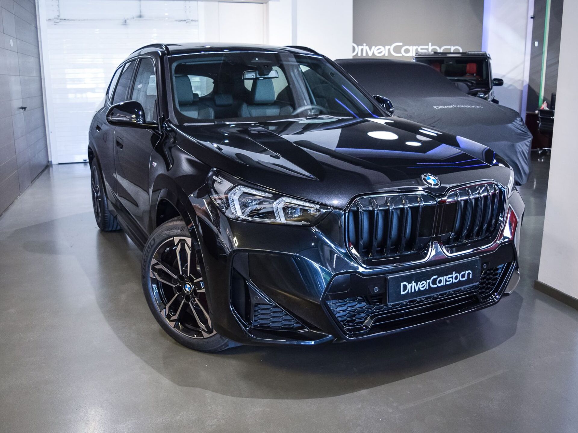 Imagen de BMW X1