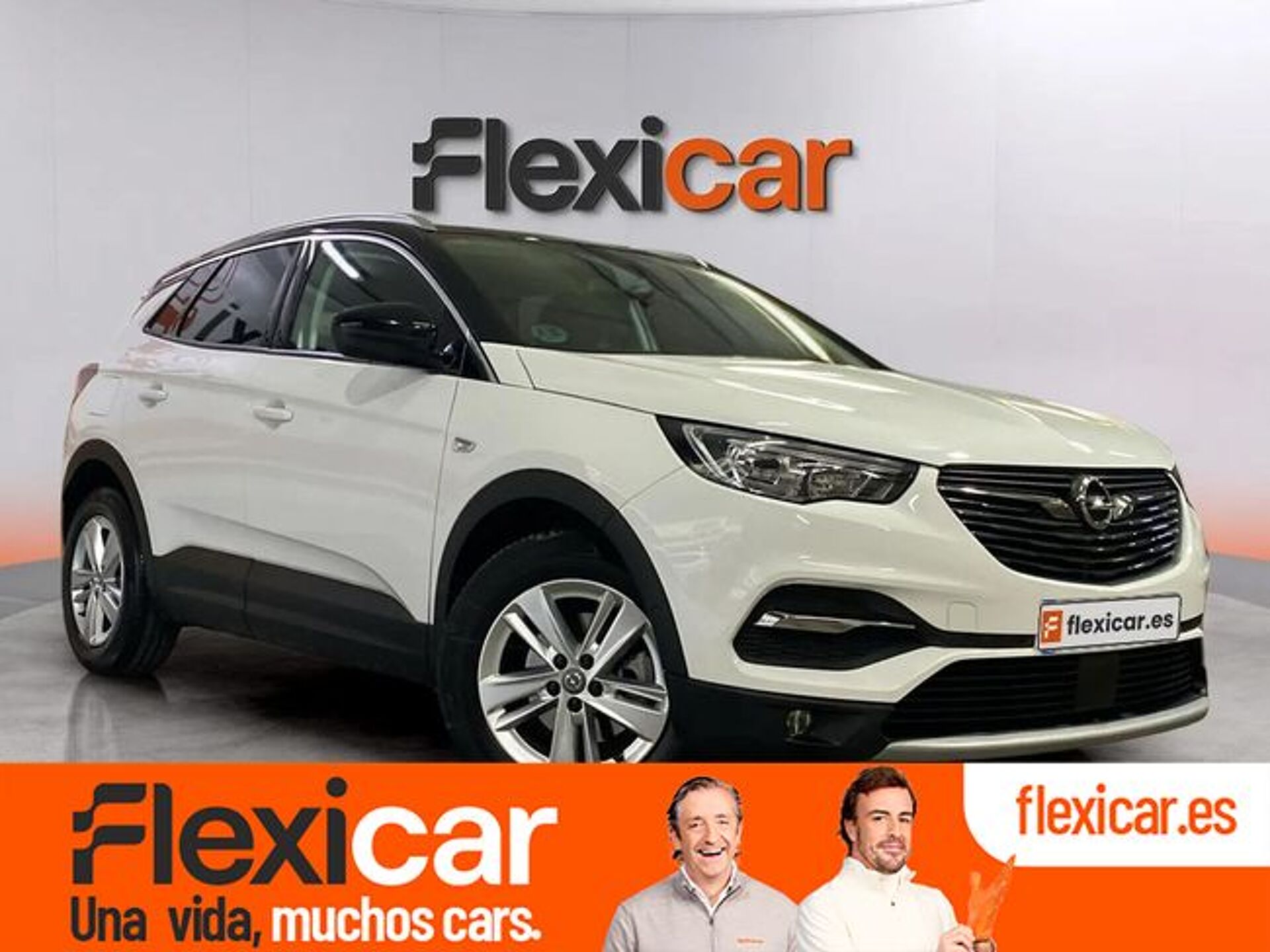 Imagen 1 de OPEL Grandland X