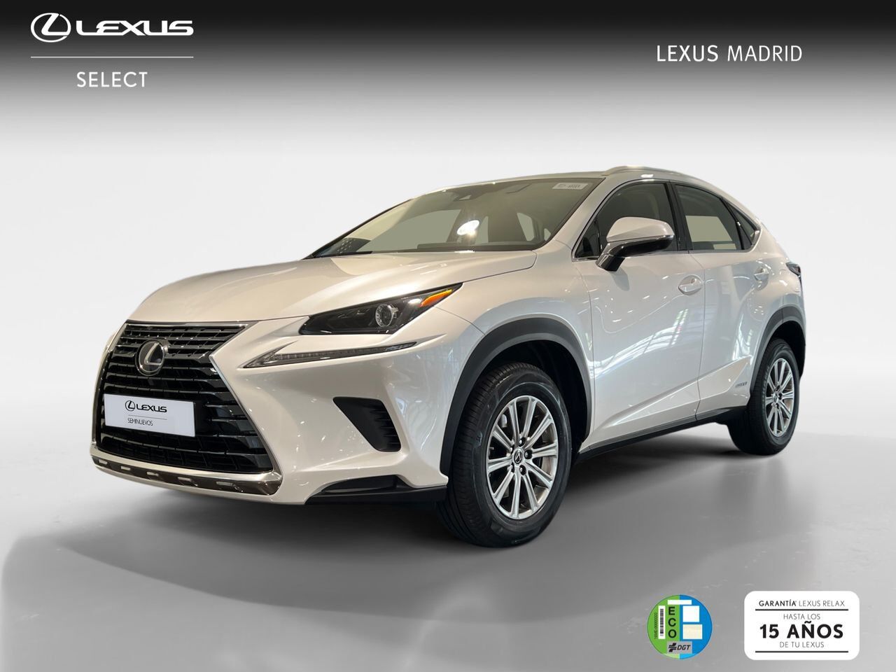 LEXUS NX (2.5 300h Business 2WD) en Madrid