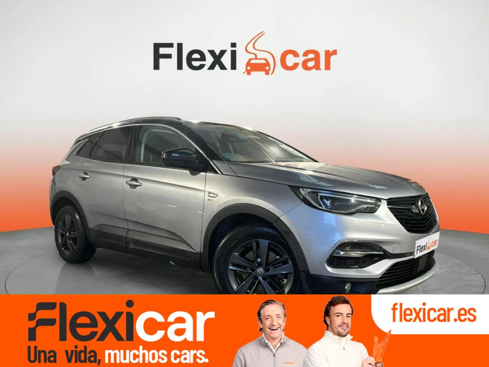 Imagen de OPEL Grandland X