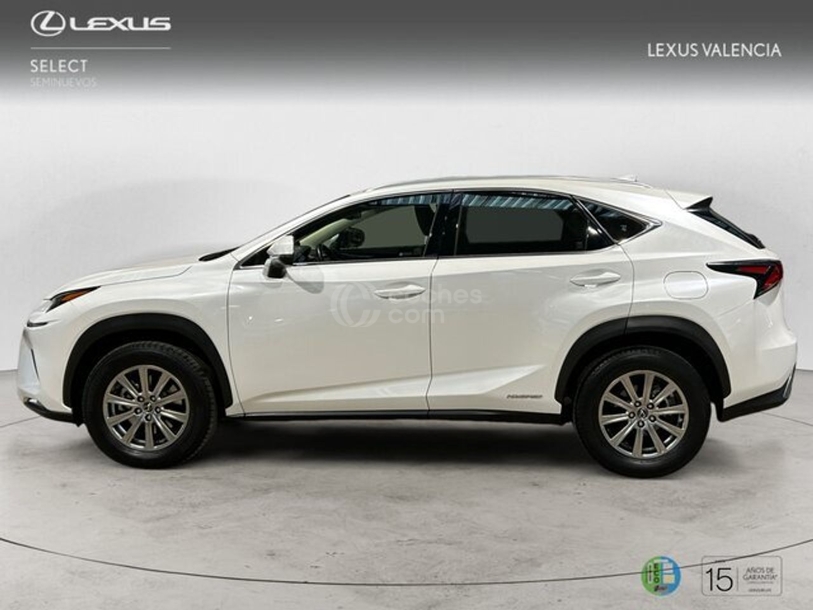 Foto del LEXUS NX 300h Business 2WD