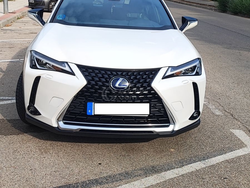 Foto del LEXUS UX 250h Business 2WD
