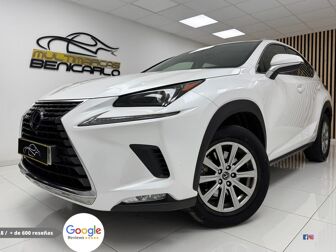 Imagen de LEXUS NX 300h Business Navigation 2WD