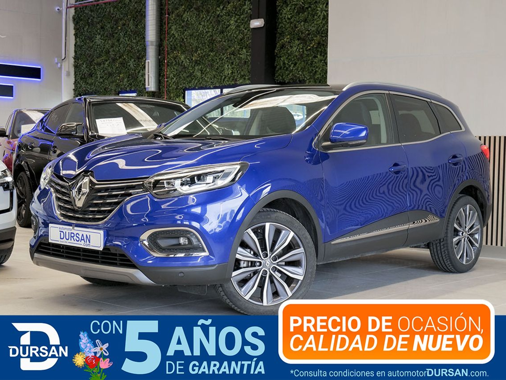 Imagen de RENAULT Kadjar