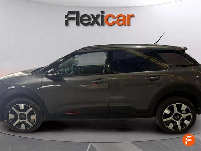 Foto del CITROEN C4 Cactus 1.5BlueHDi S&S Shine 100