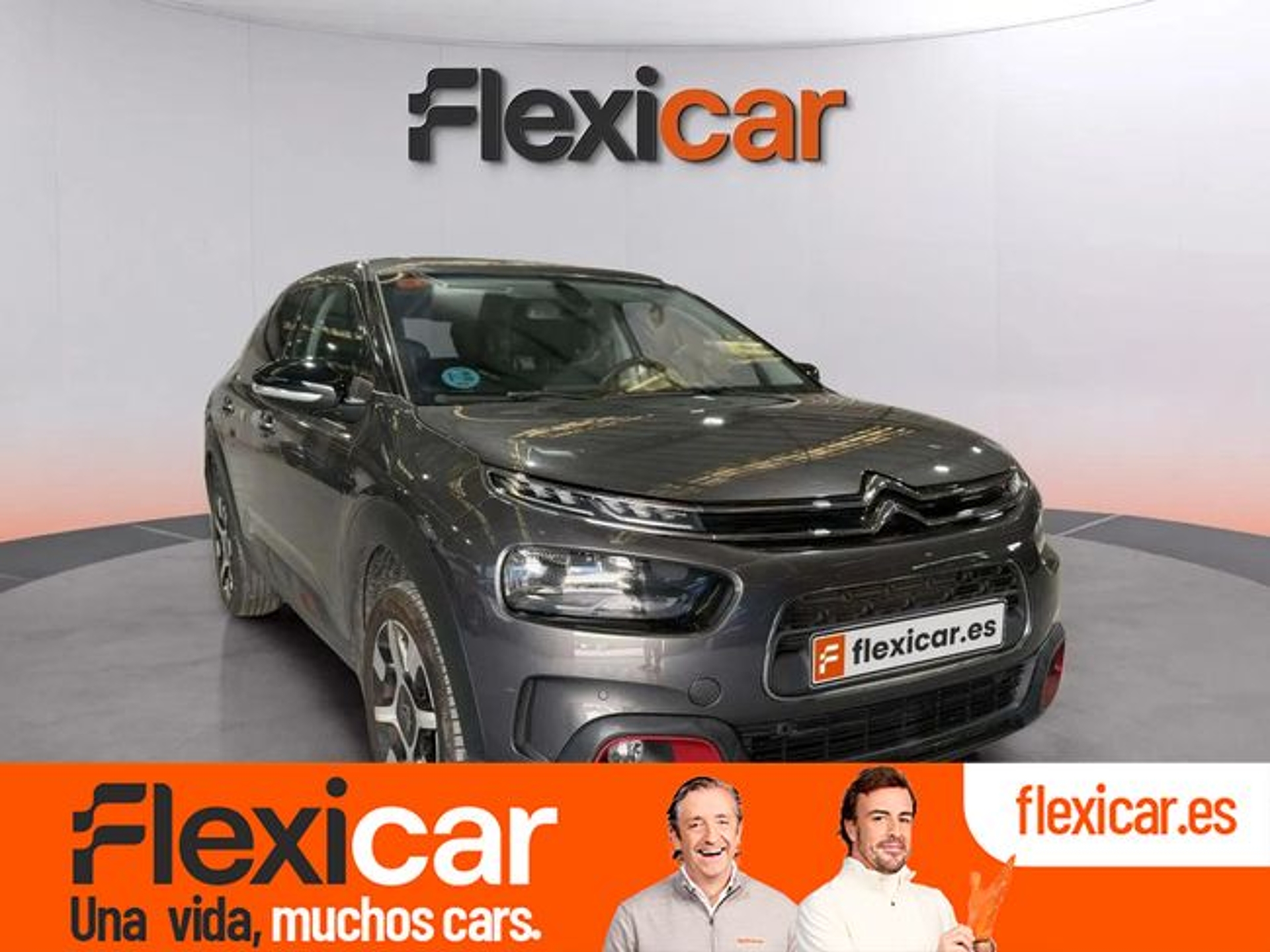 Imagen de CITROEN C4 Cactus