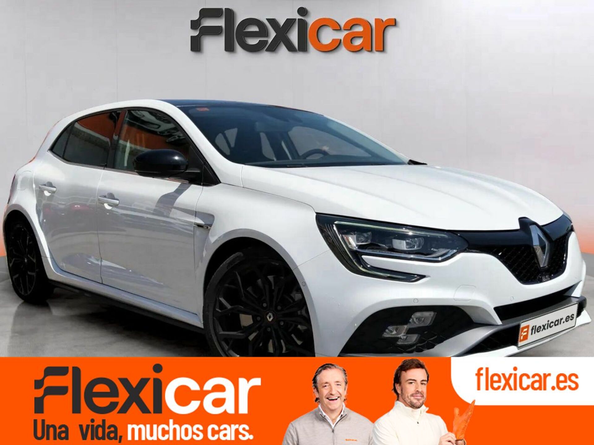 Imagen de RENAULT Mégane