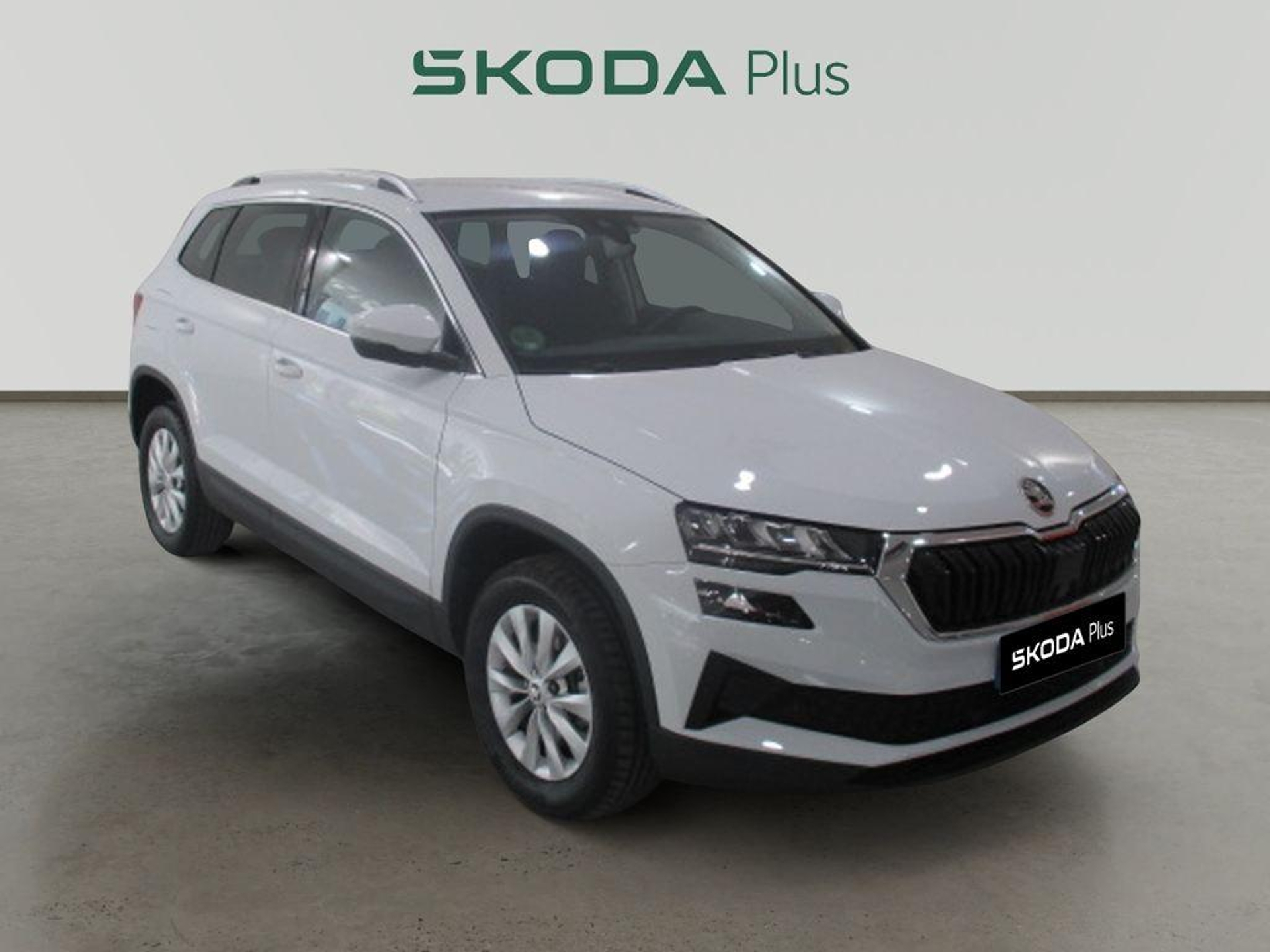 Imagen de SKODA Karoq