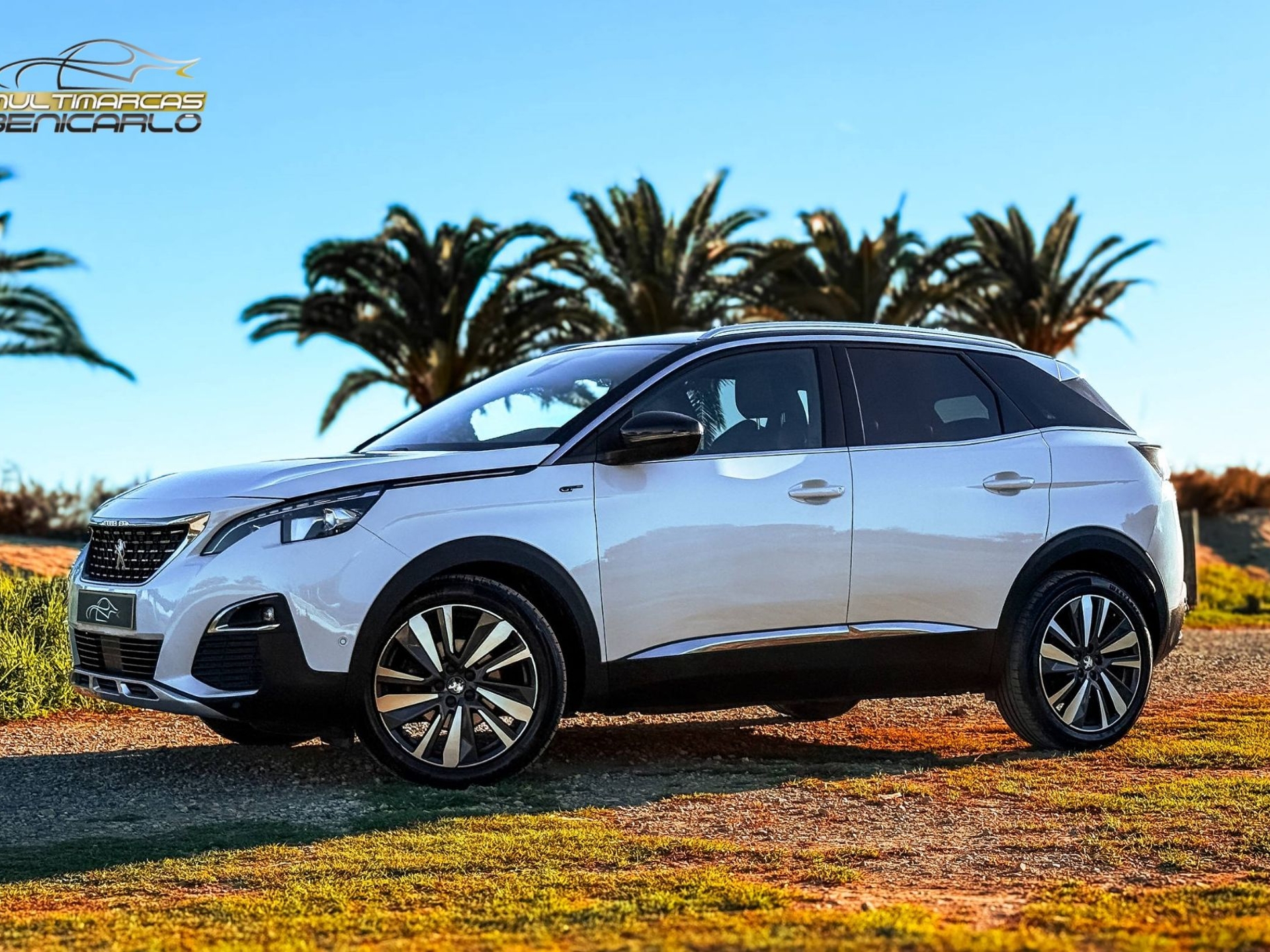 Imagen de PEUGEOT 3008