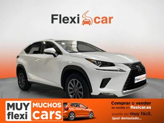 Imagen de LEXUS NX 300h Business Navigation 2WD