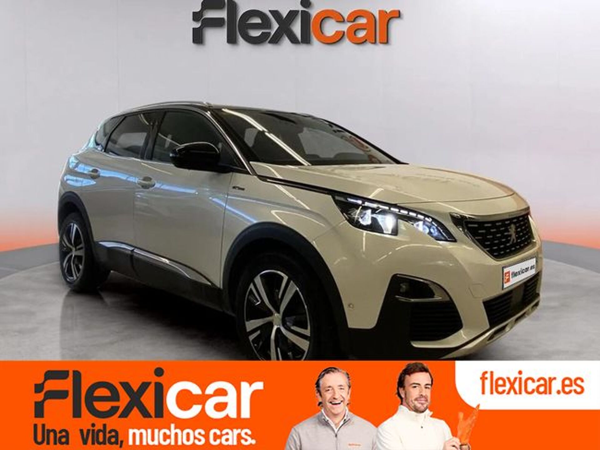 Imagen 1 de PEUGEOT 3008