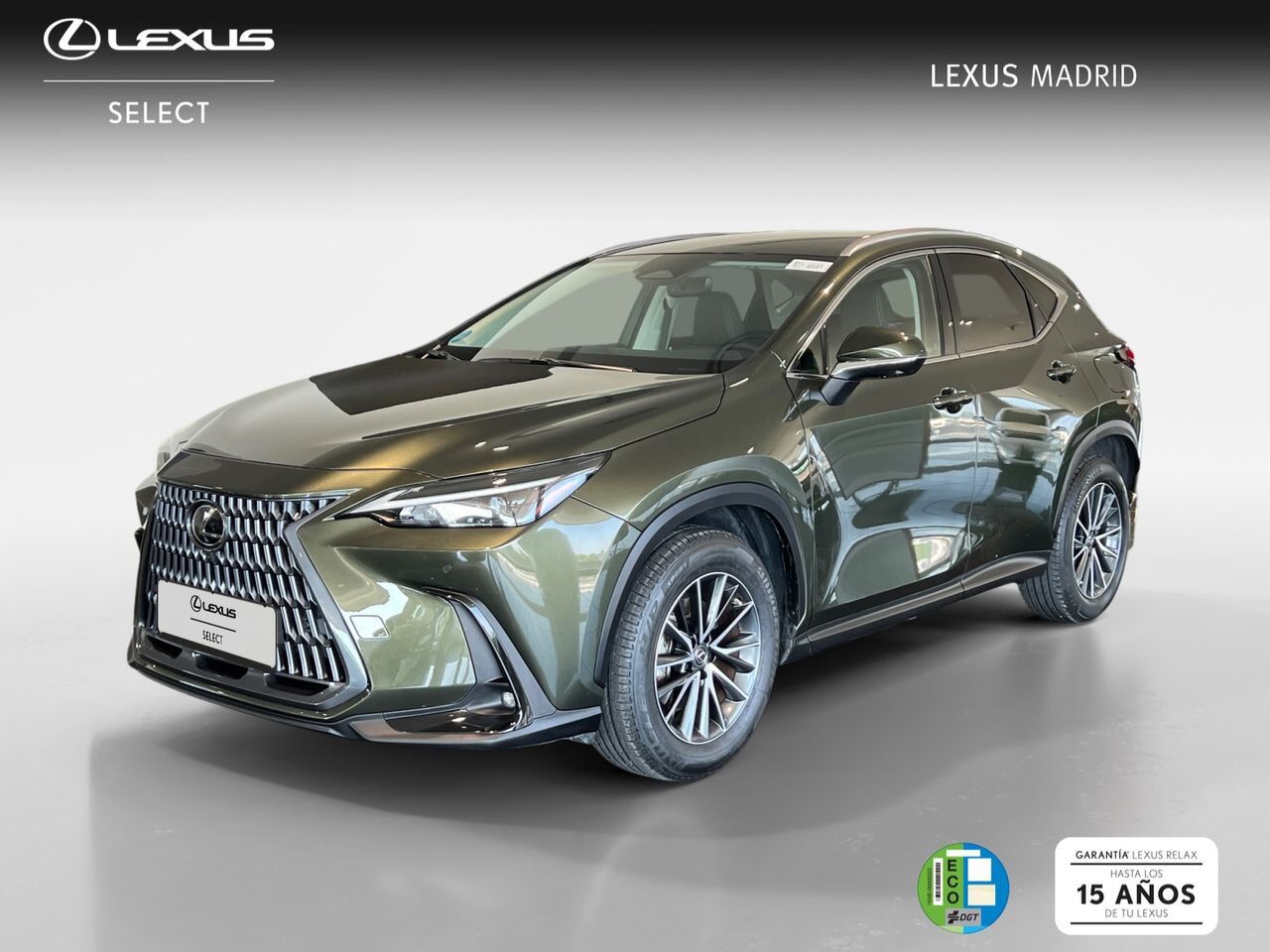LEXUS NX (350h Executive 2WD) en Madrid