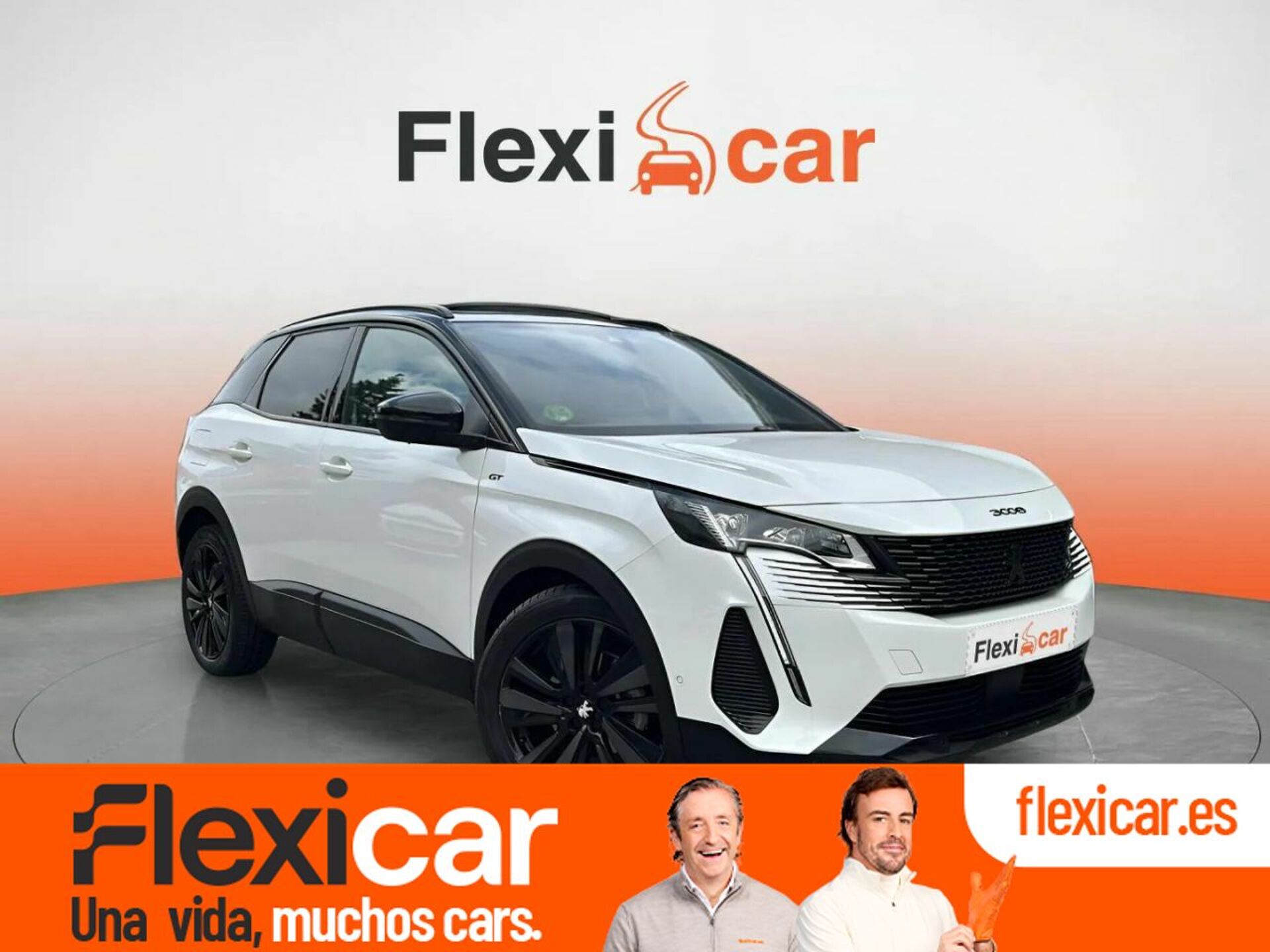 Imagen de PEUGEOT 3008