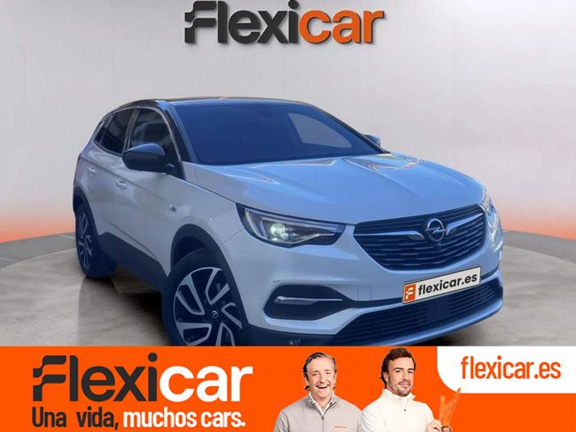 Imagen 1 de OPEL Grandland X