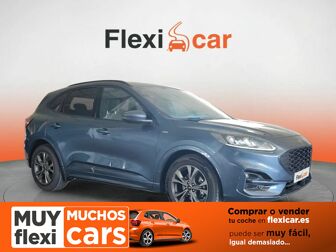 Imagen de FORD Kuga 1.5 EcoBoost ST-Line FWD 150