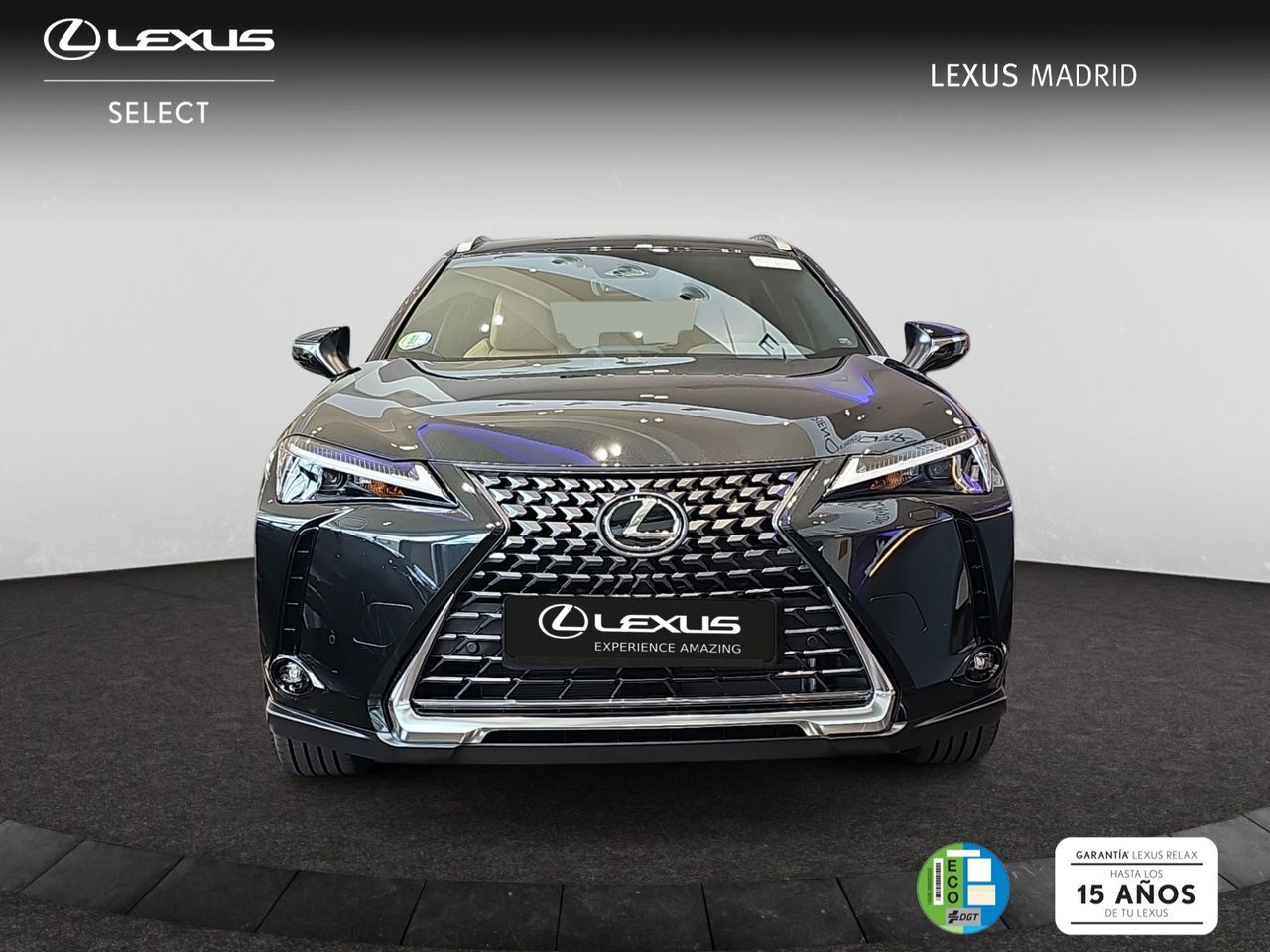 LEXUS UX (2.0 300h UX Plus) en Madrid