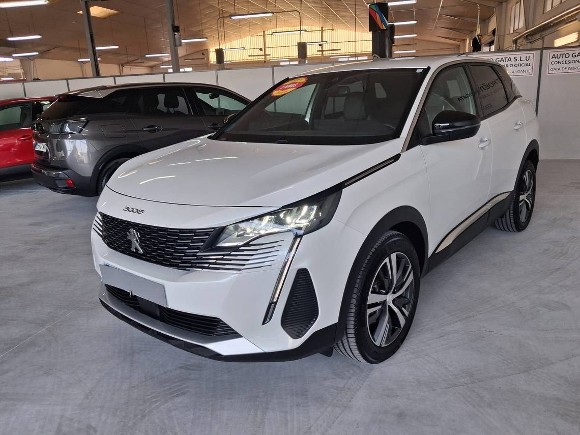 Imagen de PEUGEOT 3008