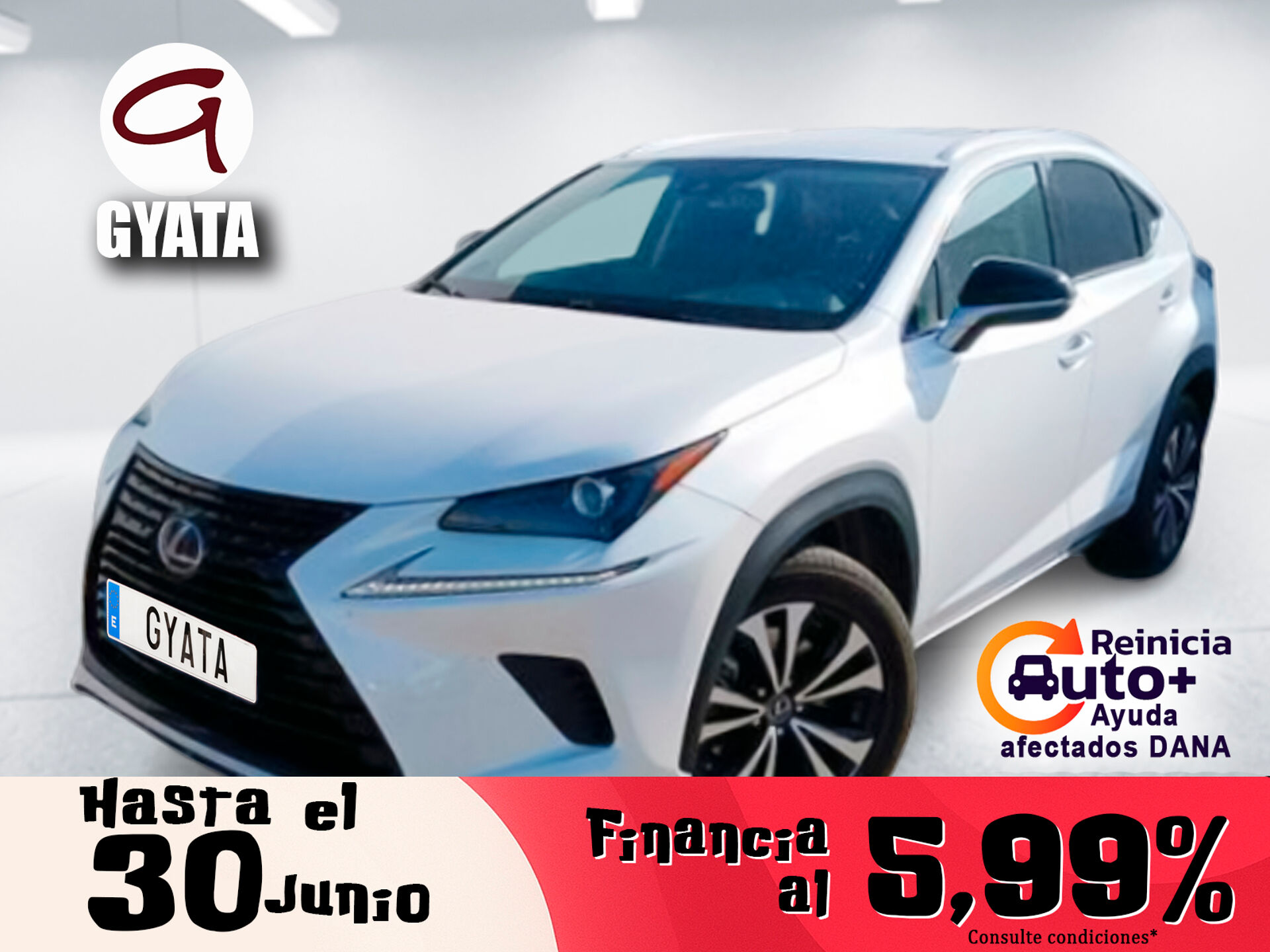 Imagen de LEXUS NX