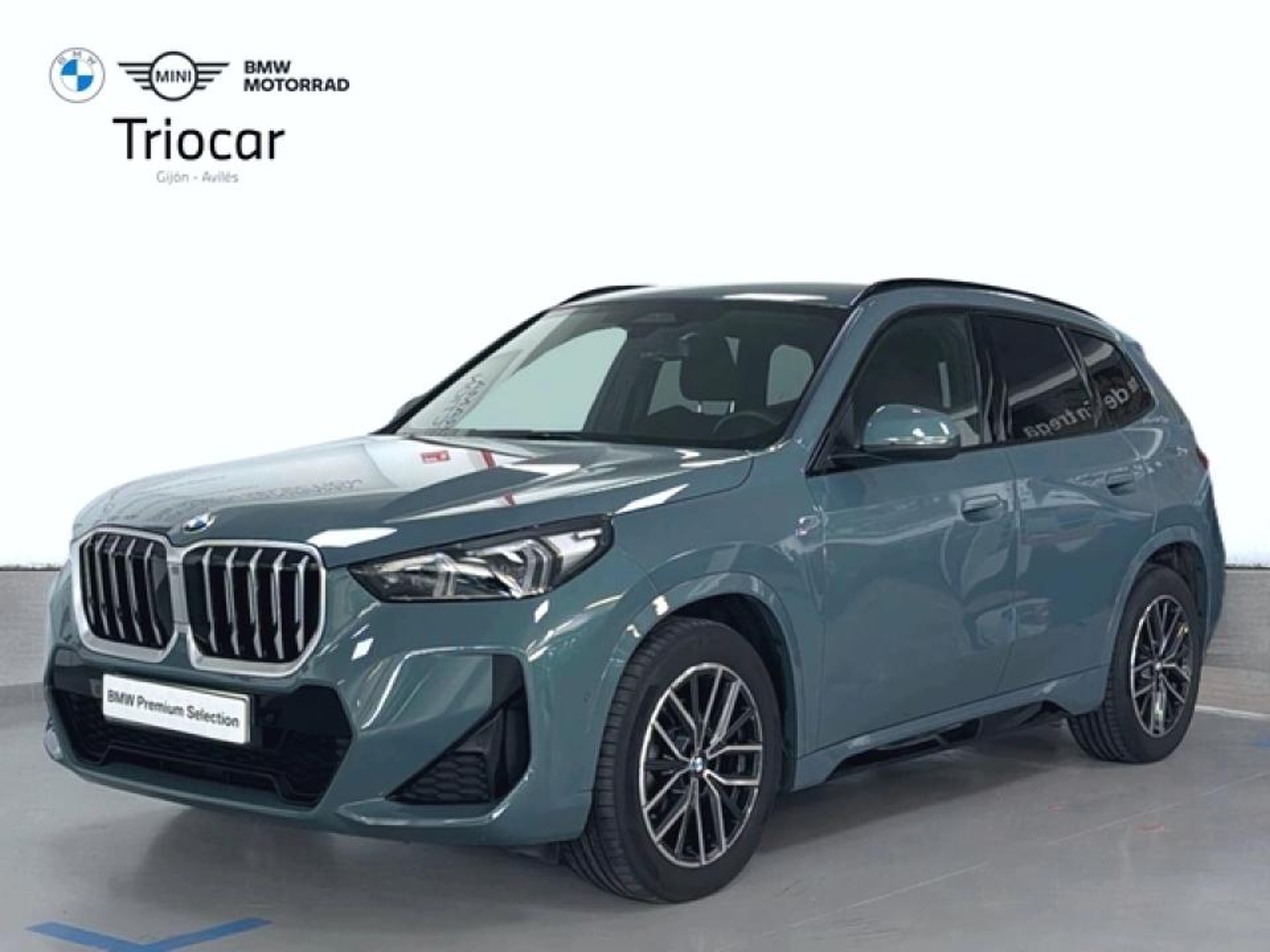 Imagen de BMW X1