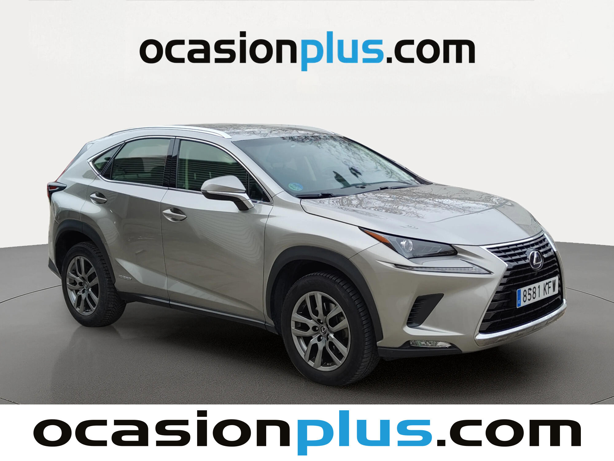 Foto del LEXUS NX 300h Business Navigation 2WD