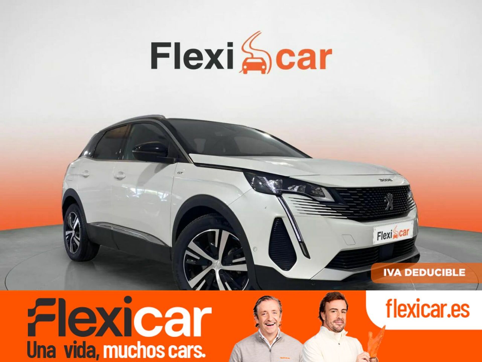 Imagen de PEUGEOT 3008