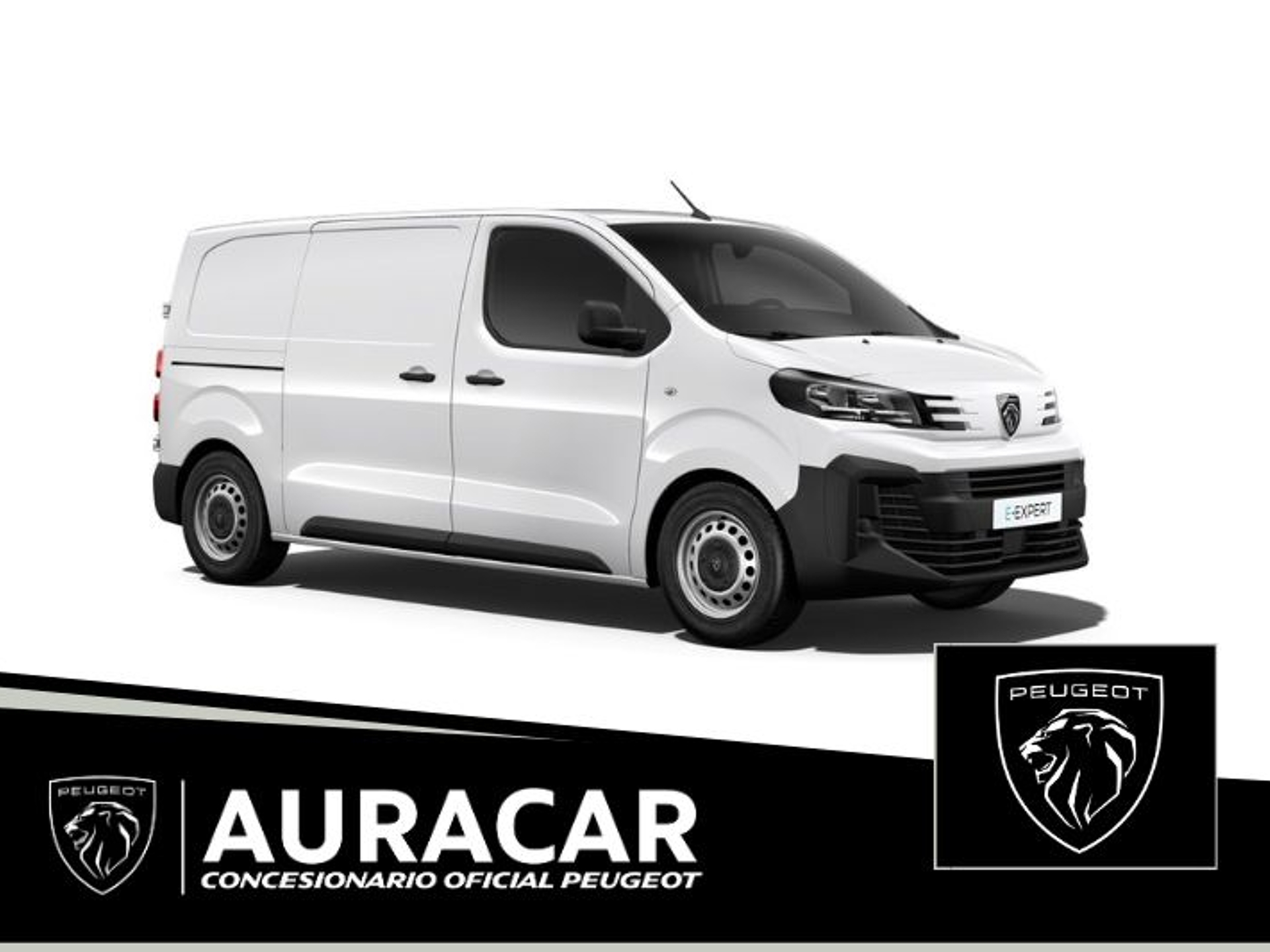 Imagen de PEUGEOT Expert