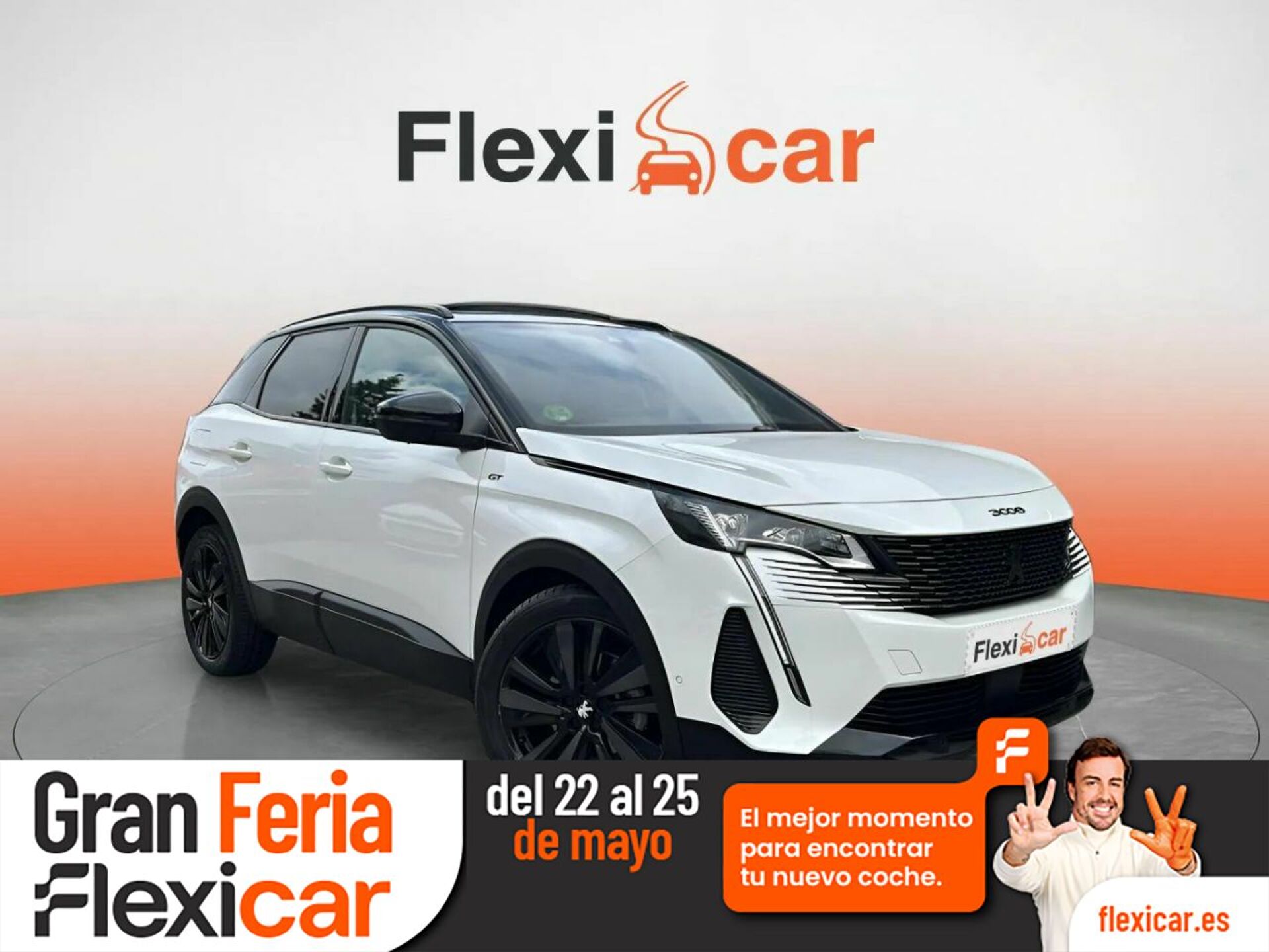 Imagen de PEUGEOT 3008