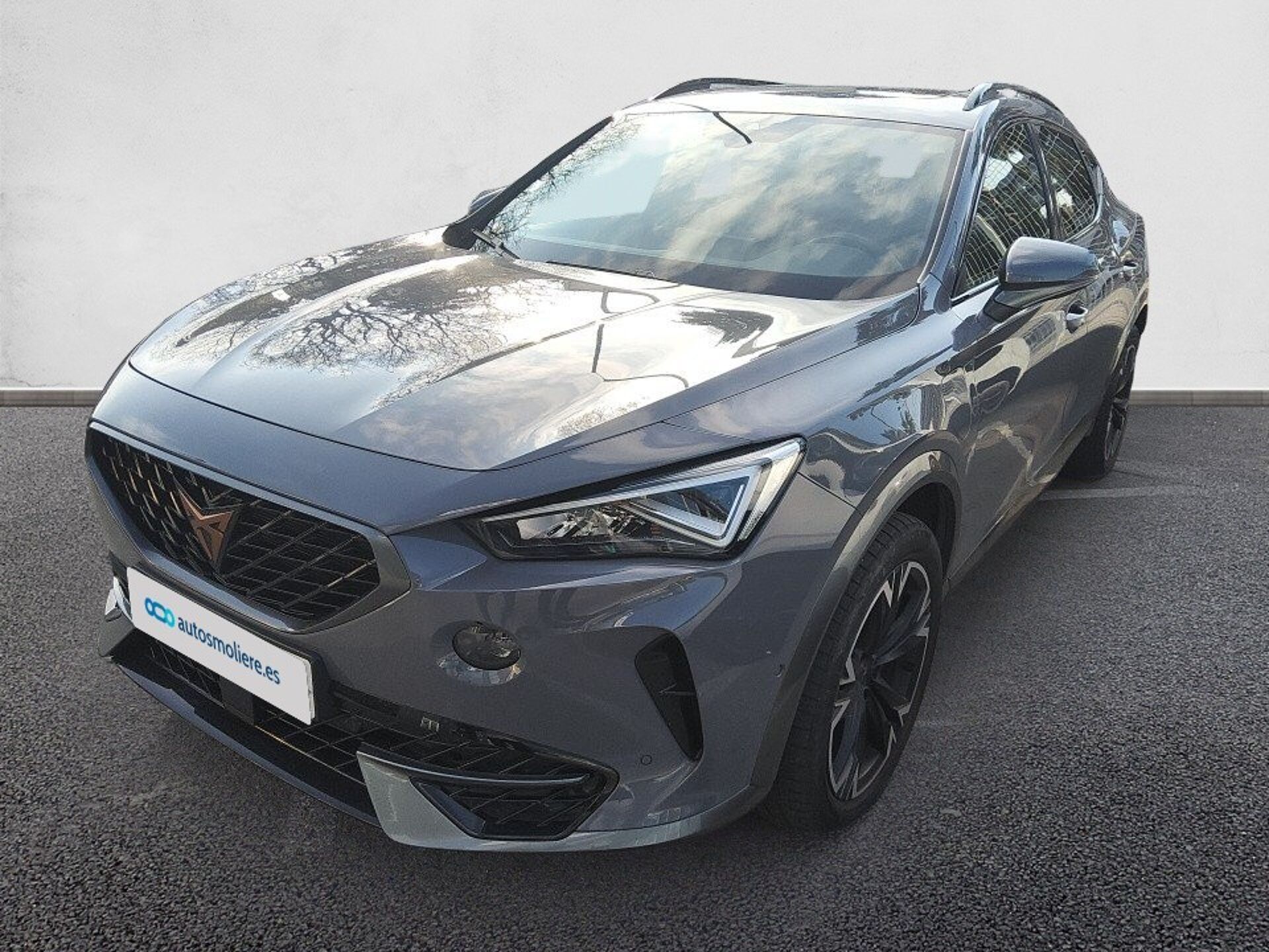 Imagen de CUPRA Formentor