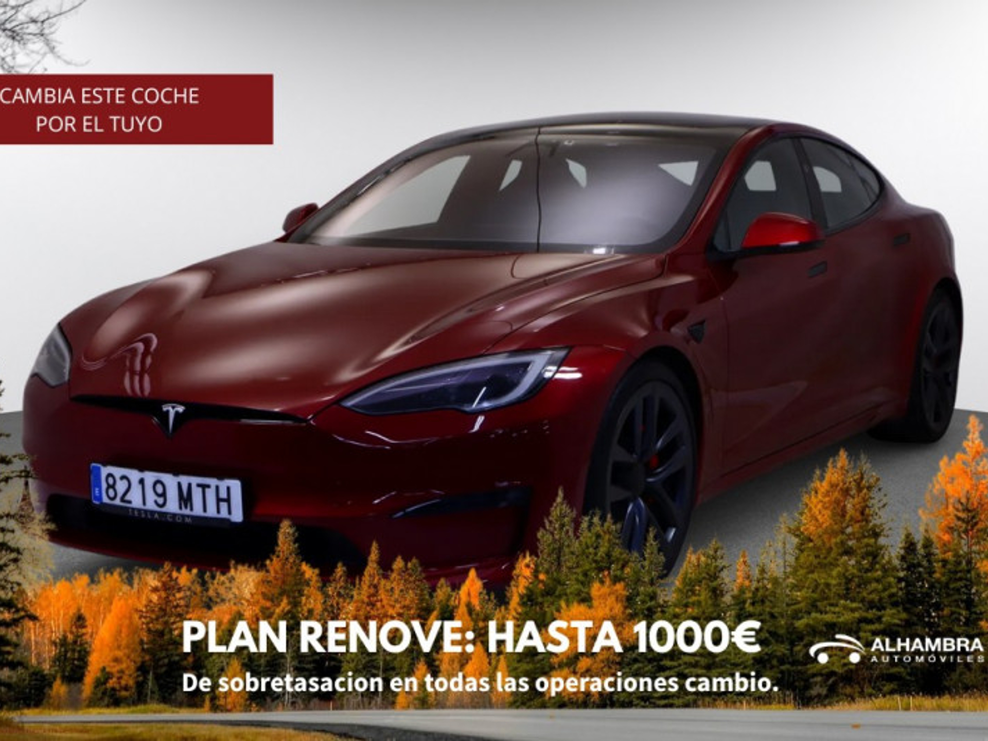 Imagen de TESLA Model S