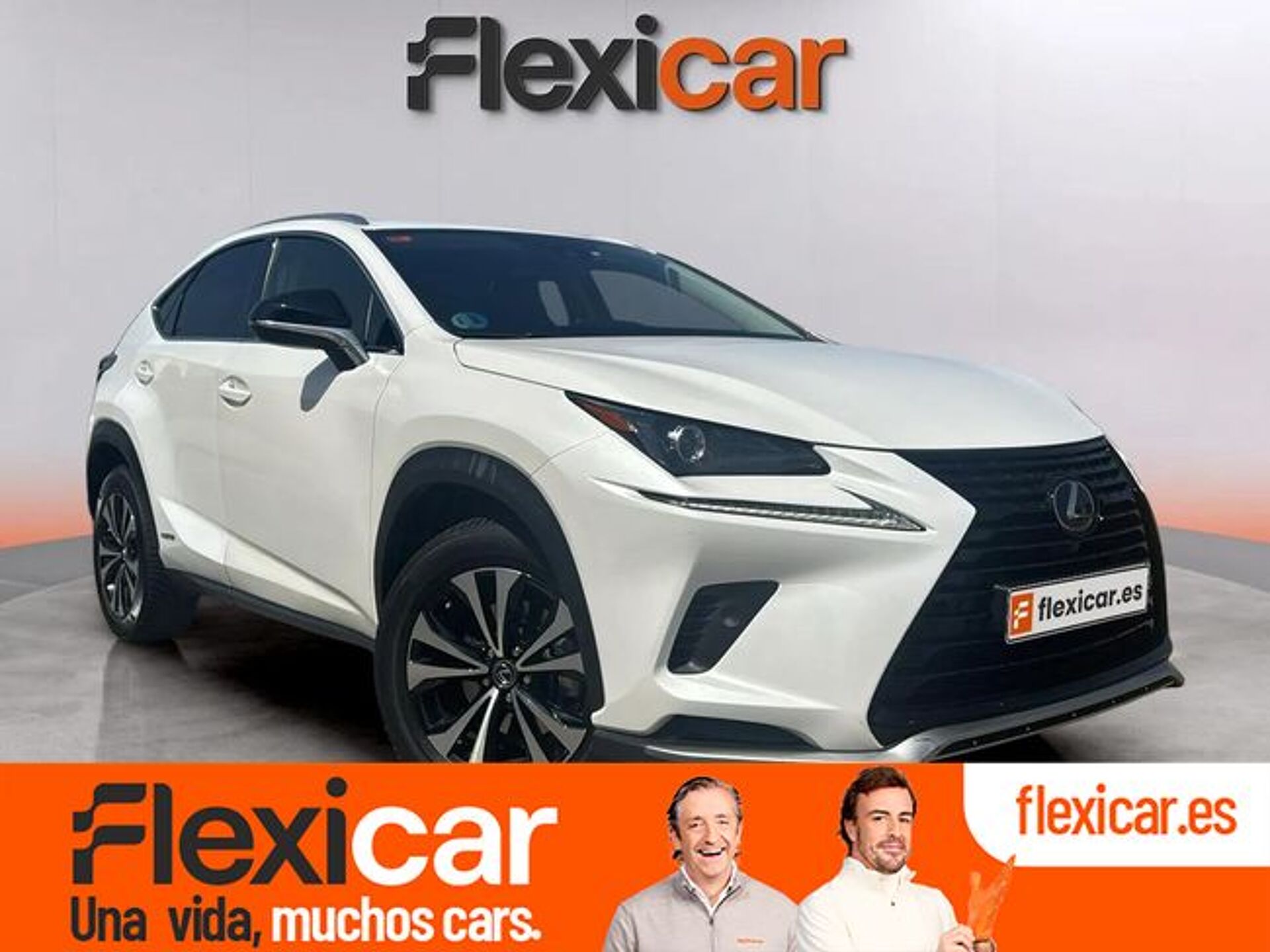 Imagen de LEXUS NX